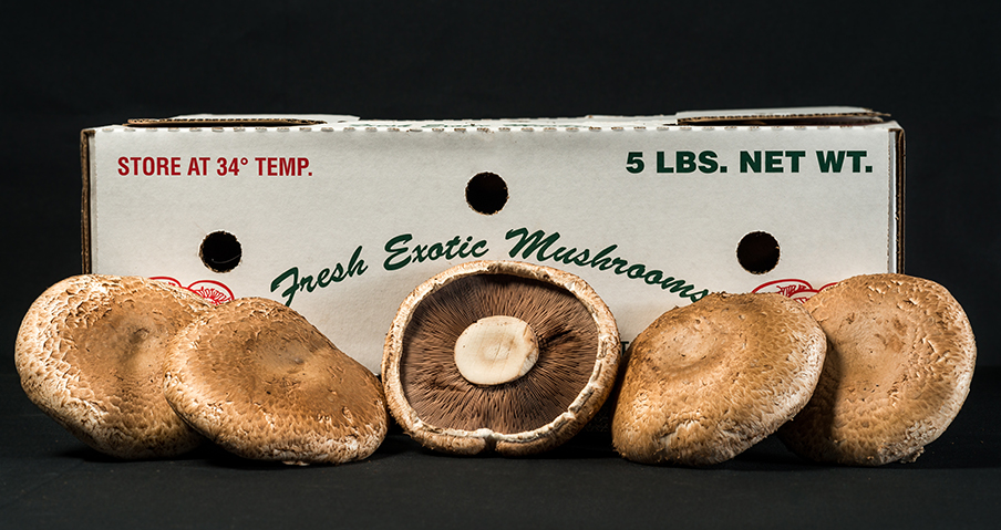 Portabello Mushrooms