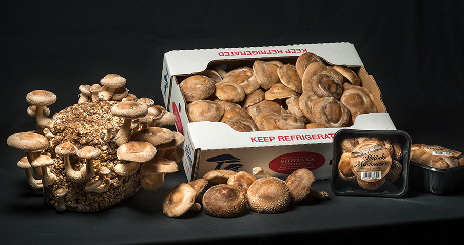 Packages of Shiitake Mushrooms